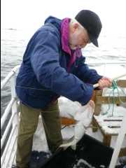 Cod Fishing25